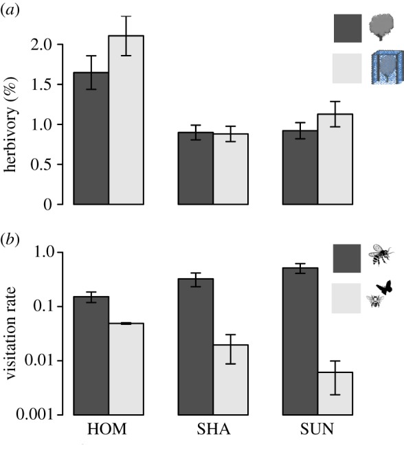 Figure 3.