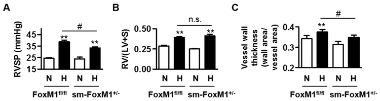 Fig 3.