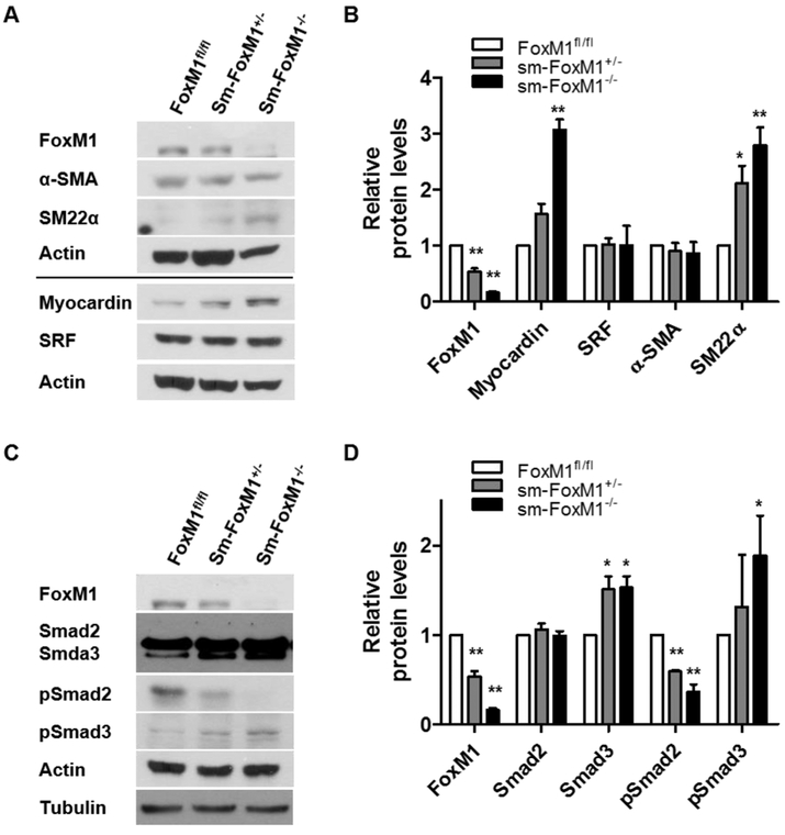 Fig 8.