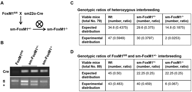 Fig 2.