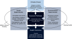 Figure 1 is a flowchart with four steps. Step 1: Climate drivers, including stagnant conditions, elevated temperatures, and anthropogenic emissions lead to exposure pathways, including outdoor or indoor times, concurrent high-heat and poor air quality events. Step 2: Social determinants, including occupation and income, pre-existing conditions: disease, mental illness, substance abuse and demographics: age, race, ethnicity, sex, gender, etc. lead to exposure pathways, including outdoor or indoor times, concurrent high-heat and poor air quality events and health outcome, including mortality and cardiovascular, pulmonary, cerebrovascular, kidney, and urinary ailments, among others. Step 3: Environmental determinants, including proximity to primary emitters or industry, air conditioning or green spaces, and policy: zoning laws, pollution standards lead to exposure pathways, including outdoor or indoor times, concurrent high-heat and poor air quality events and health outcome, including mortality and cardiovascular, pulmonary, cerebrovascular, kidney, and urinary ailments, among others. Step 4: Exposure pathways, including outdoor or indoor times, concurrent high-heat and poor air quality events lead to health outcome, including mortality and cardiovascular, pulmonary, cerebrovascular, kidney, and urinary ailments, among others. Social determinants and exposure pathways affect the ability to secure housing. Environmental determinants and exposure pathways affect housing quality.