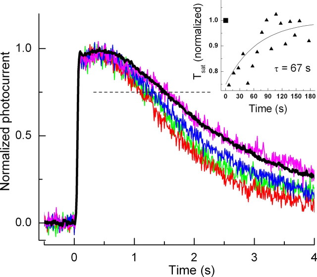 Figure 10.