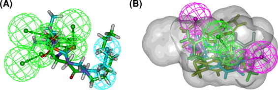 Fig. 6