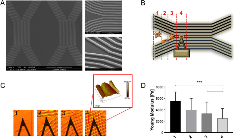 FIGURE 3: