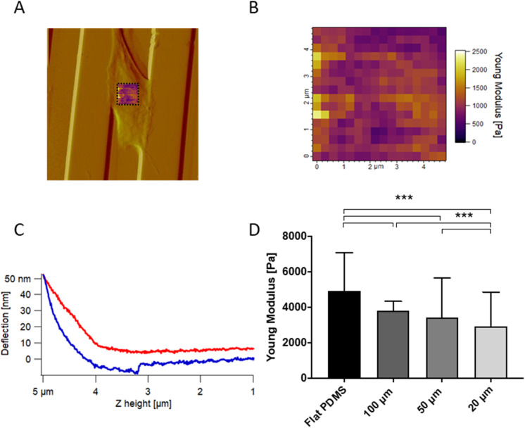 FIGURE 2: