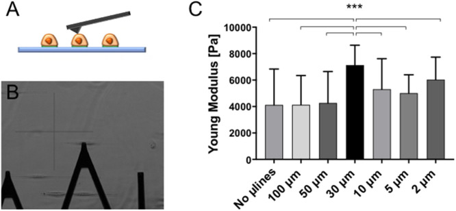 FIGURE 6: