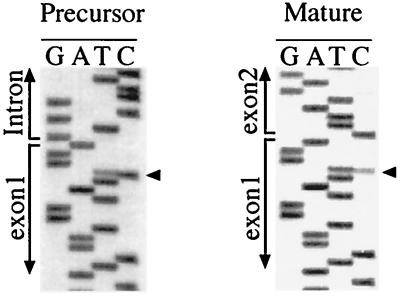 FIG. 6