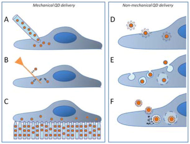 Fig. 10