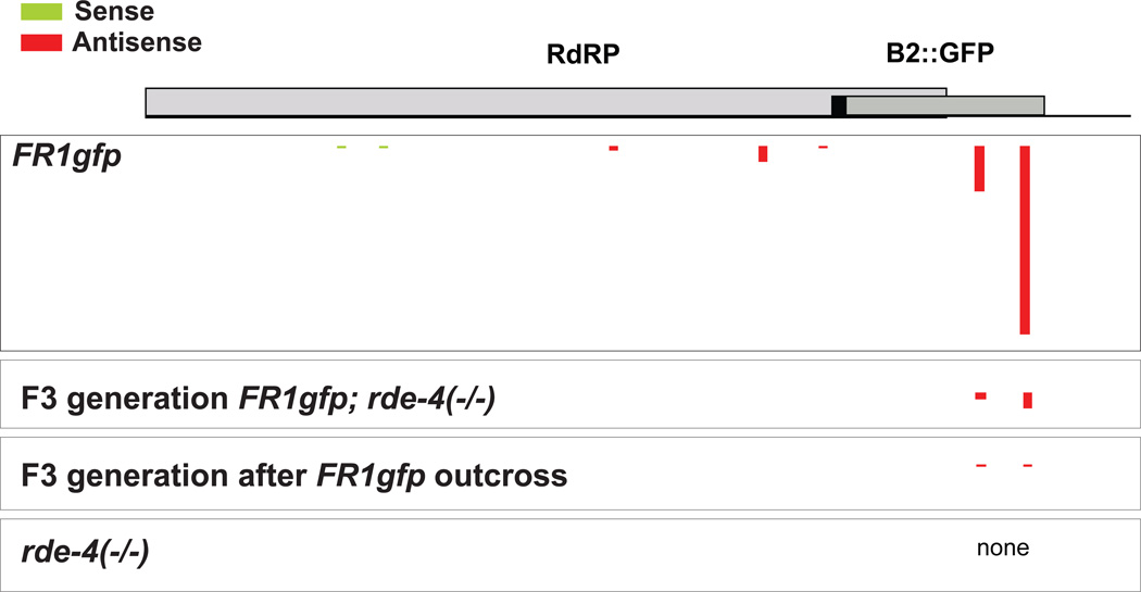 Fig.4