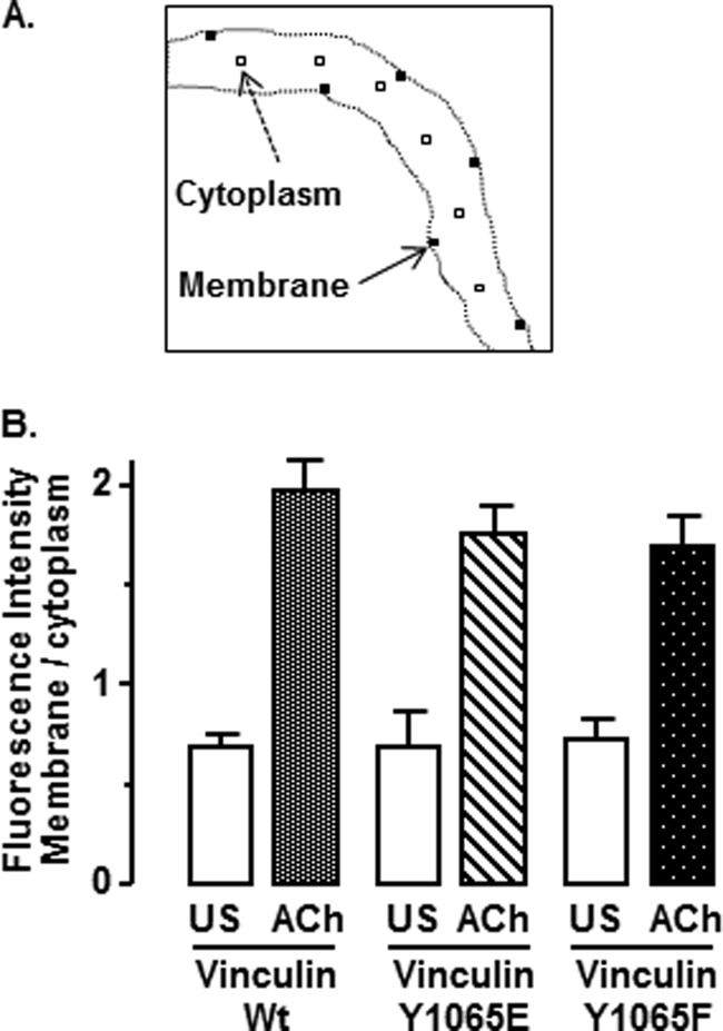 FIGURE 9.