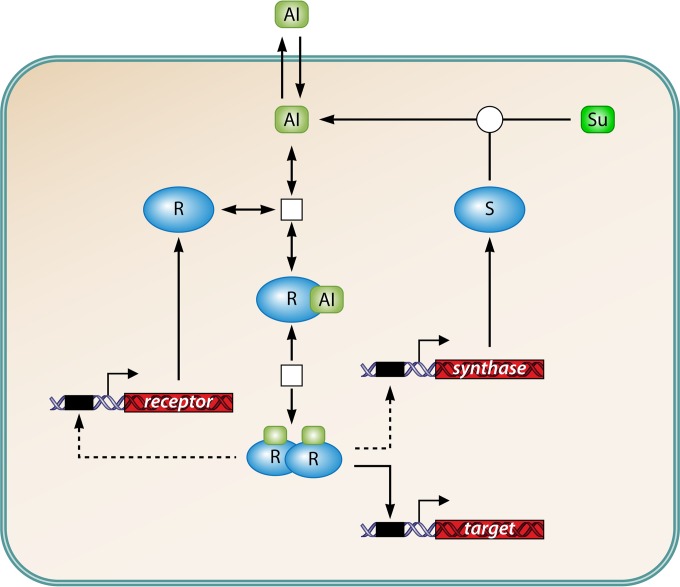 FIG 1