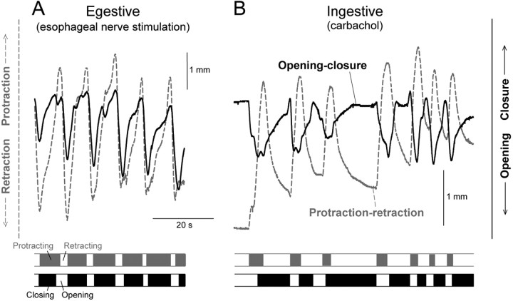 
Figure 10.
