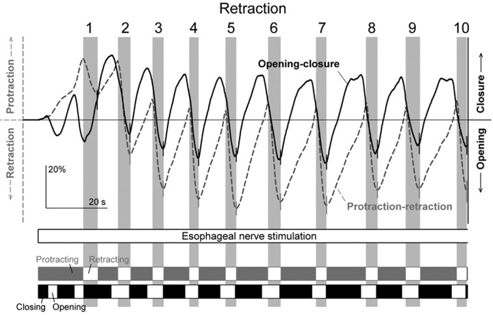 
Figure 11.
