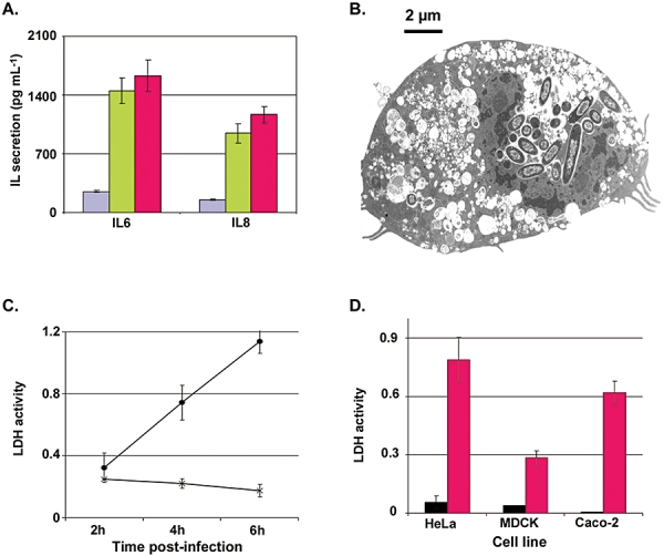 Fig. 9