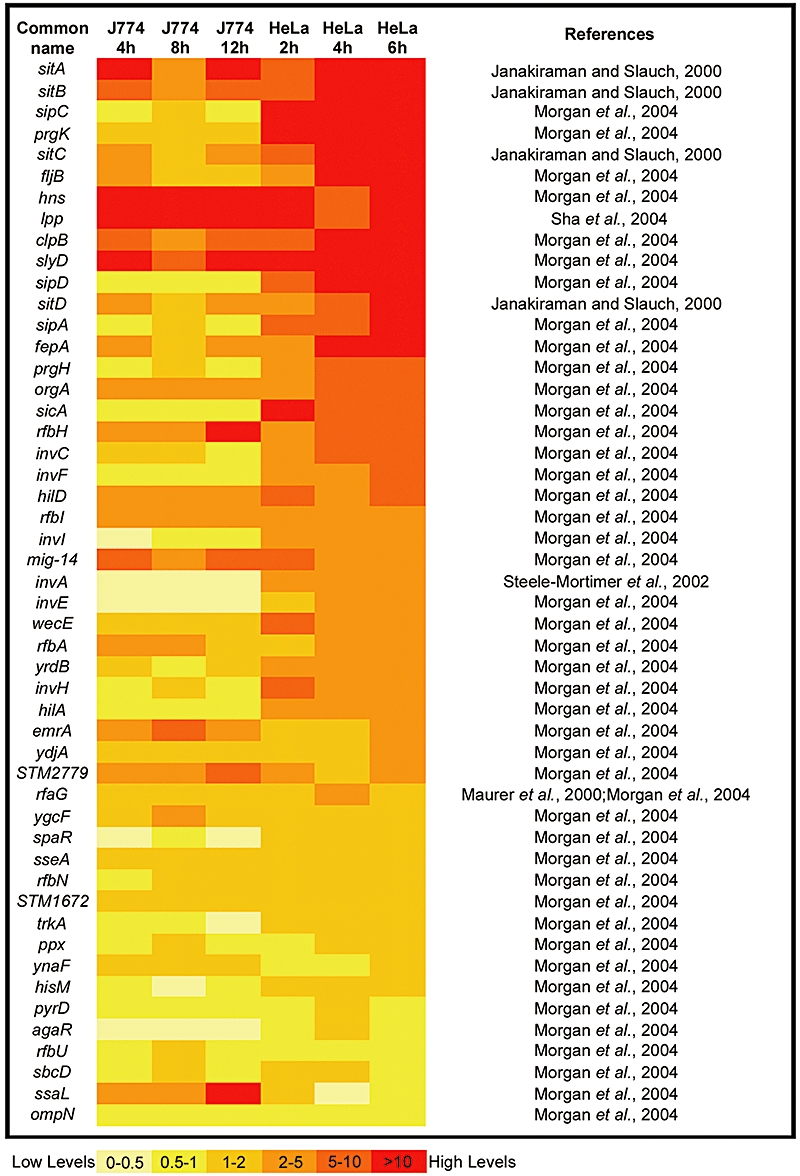 graphic file with name cmi0010-0958-fu1.jpg