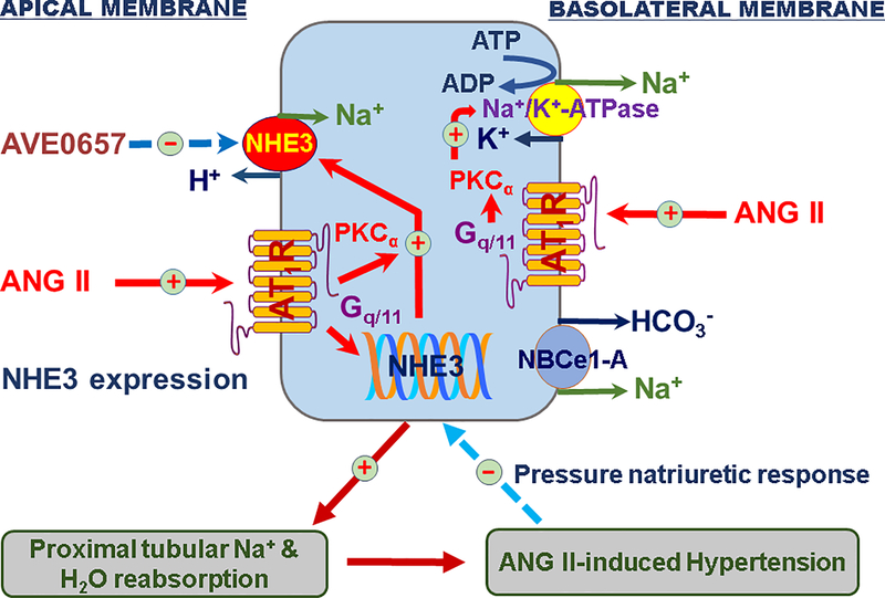 Figure 6.