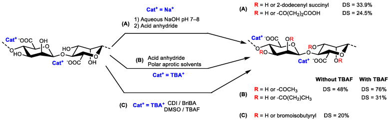 Scheme 5