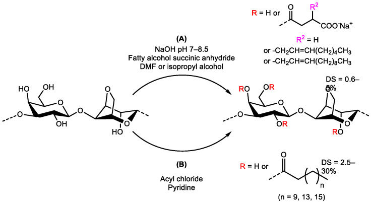 Scheme 14