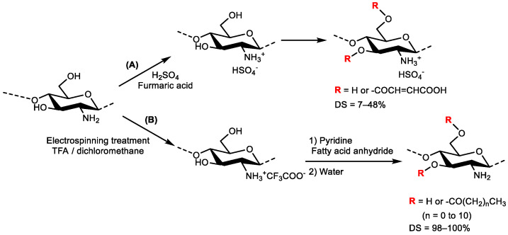 Scheme 10