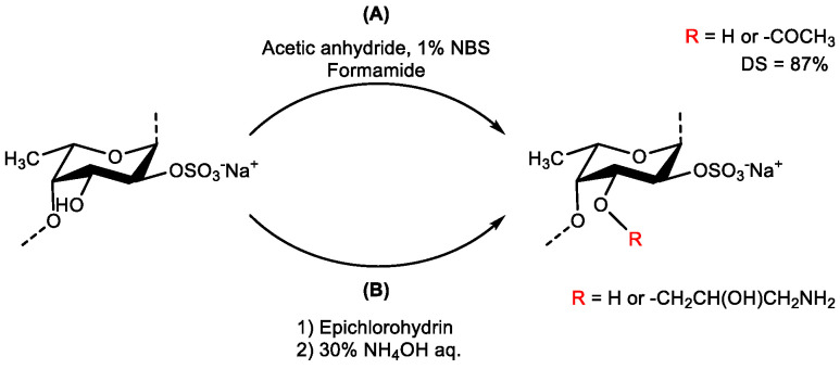 Scheme 12