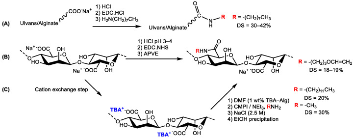 Scheme 3