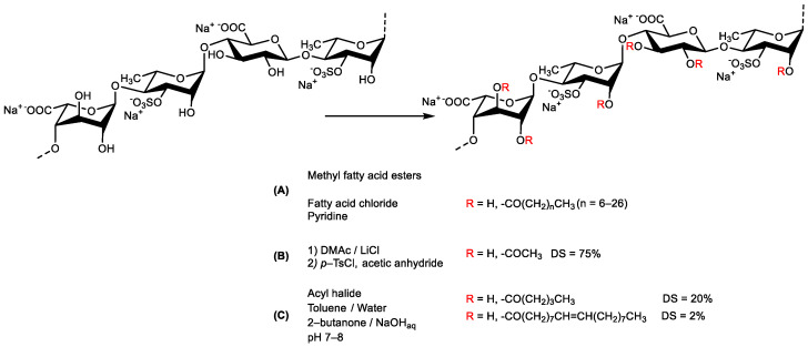 Scheme 6