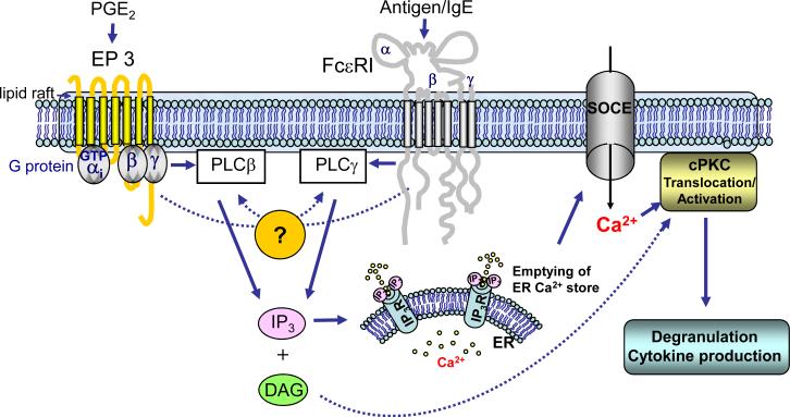 Fig 7