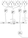 Fig. 11