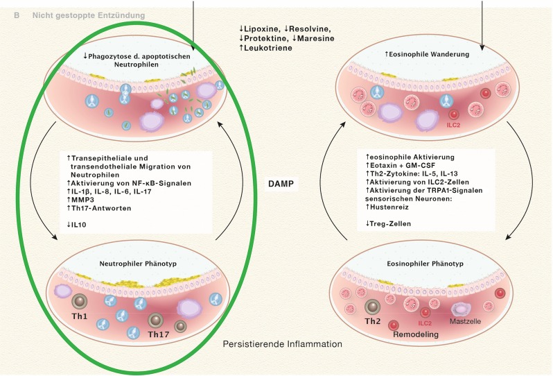 graphic file with name 472008_1_De_8_Fig9_HTML.jpg