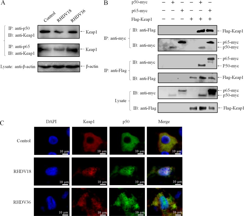 FIG 4