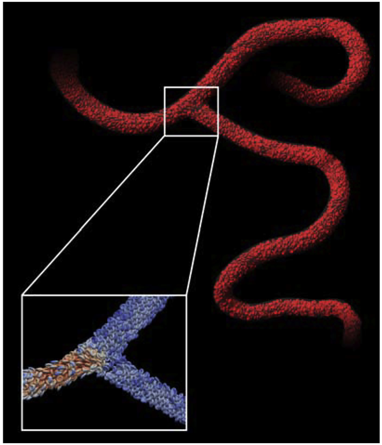 Figure 4: