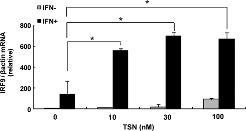 Fig. 8.