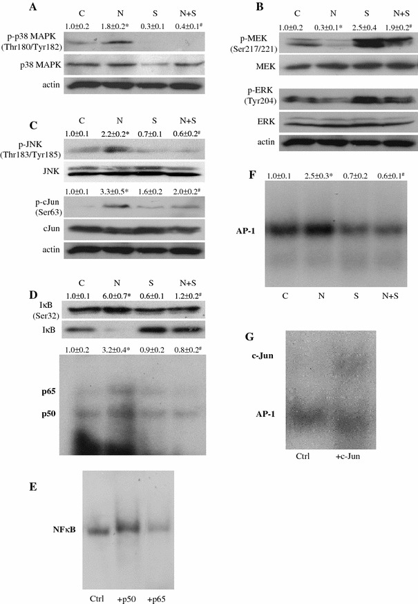 Fig. 6