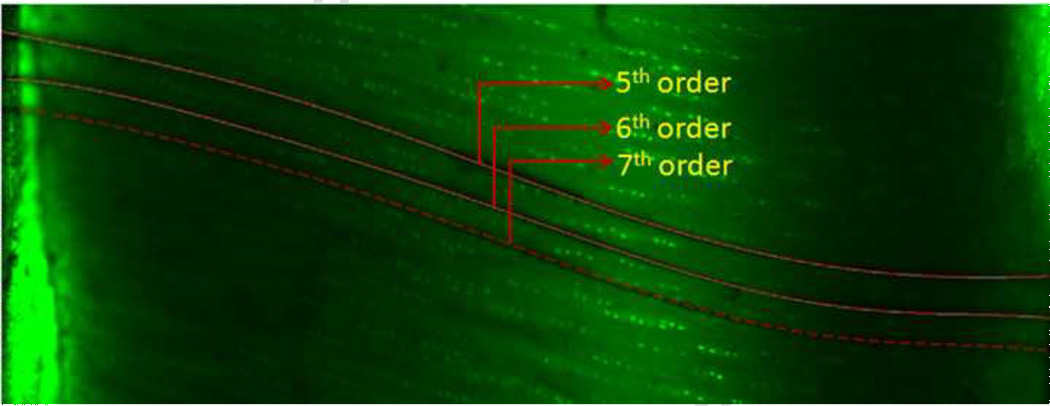 Fig. 7