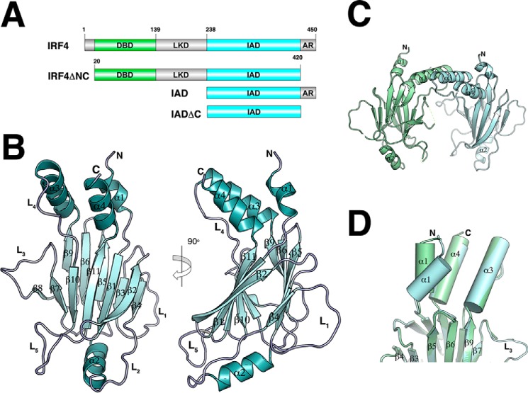 FIGURE 1.