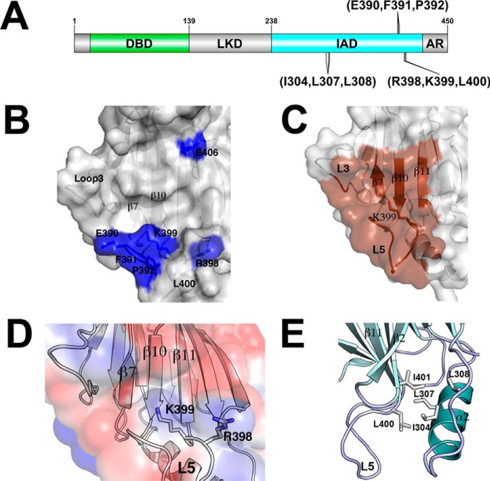 FIGURE 4.