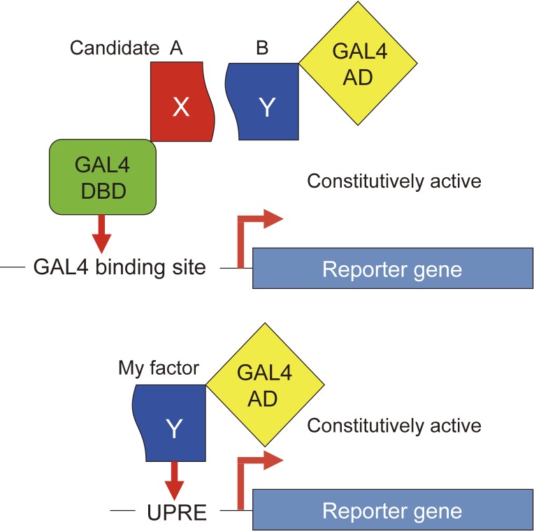 Figure 3. 