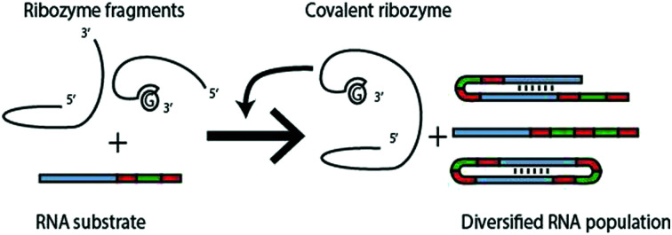 graphic file with name d1cc02290c-ga.jpg