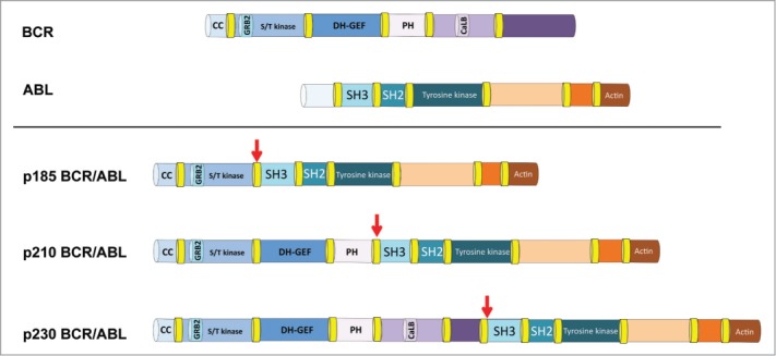 Figure 1.