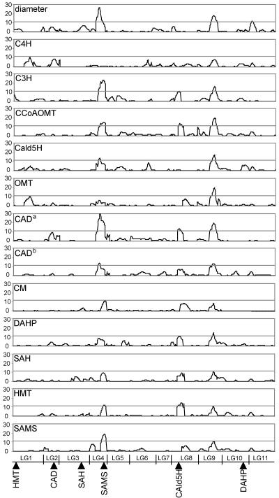 Figure 6.