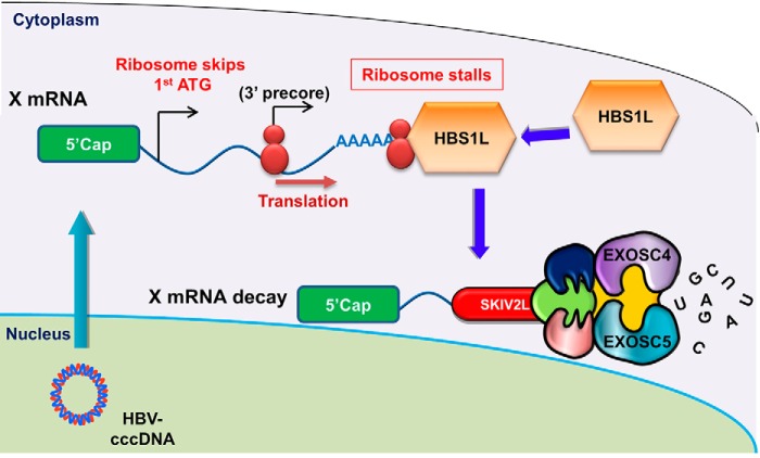 FIGURE 11.