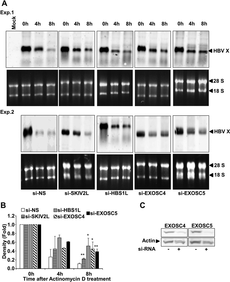 FIGURE 7.