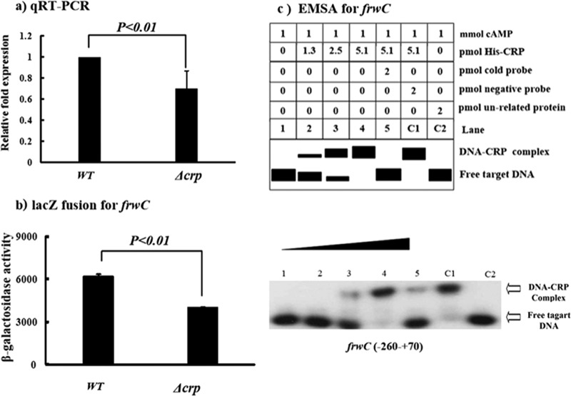 FIG 2