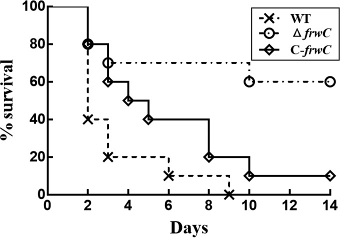 FIG 6