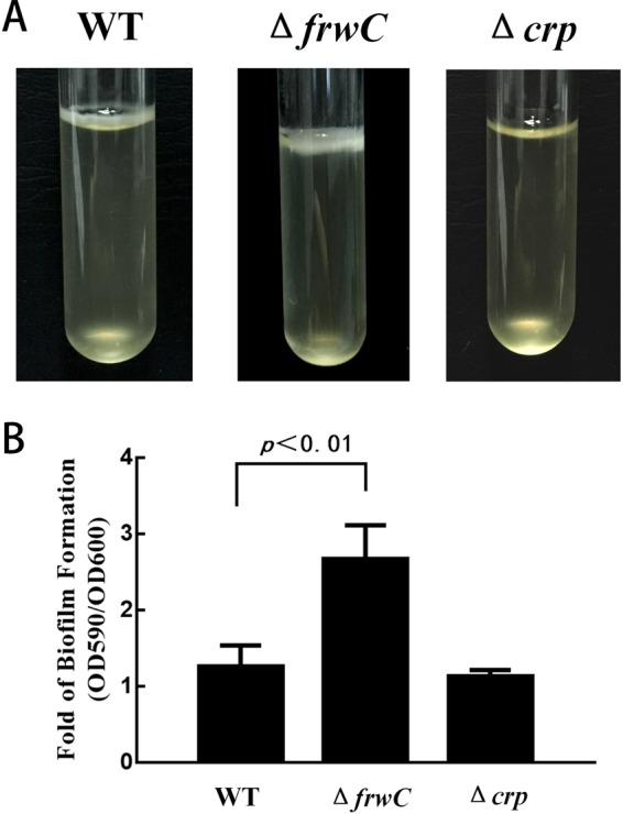 FIG 4