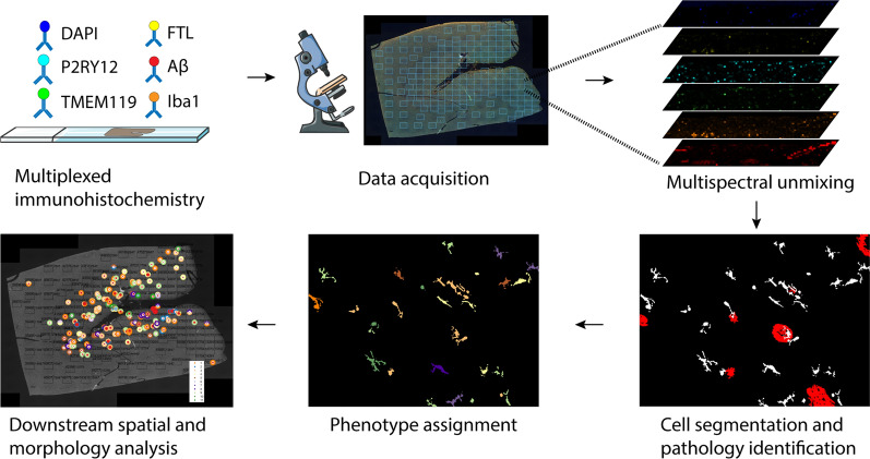 Fig. 2