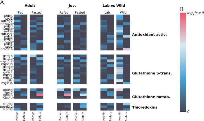 Figure 6—figure supplement 1.