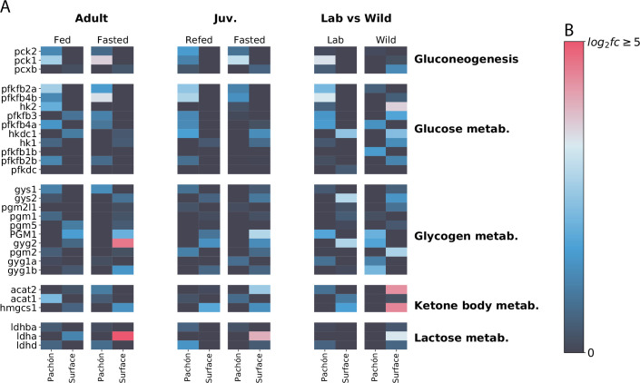 Figure 6—figure supplement 2.