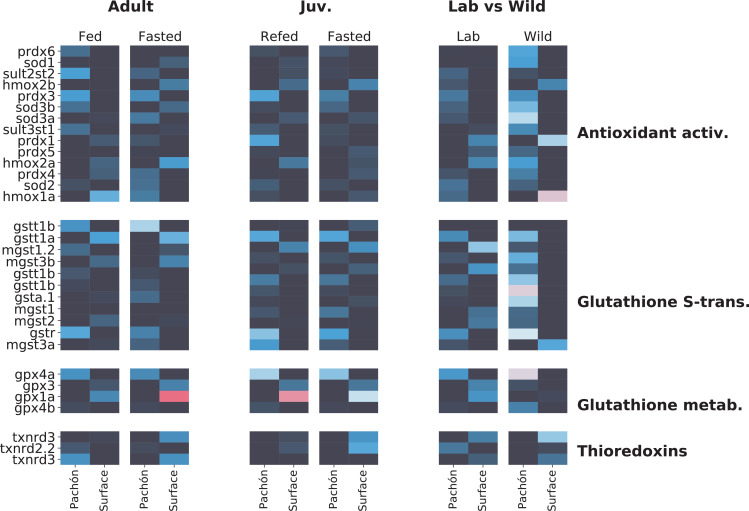 Figure 5—figure supplement 1.