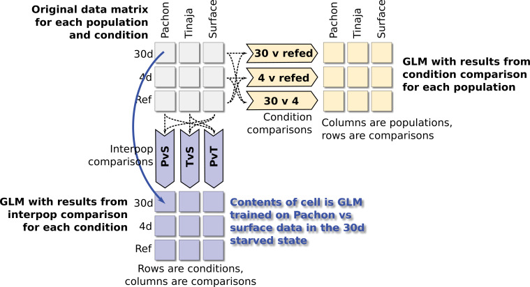 Figure 7—figure supplement 1.